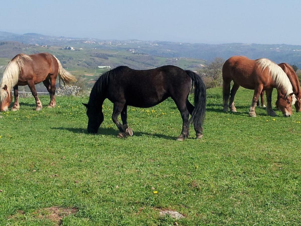 Ferme De La Bonnefontaine 호텔 Plats 외부 사진