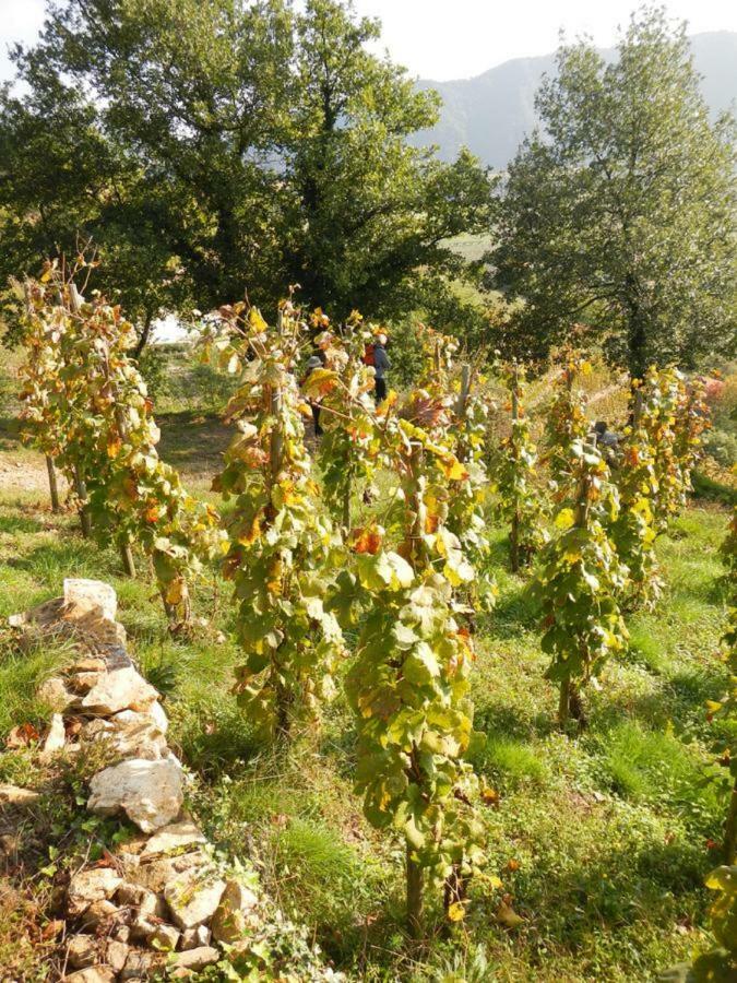 Ferme De La Bonnefontaine 호텔 Plats 외부 사진